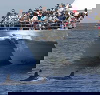 MoonshadowTQC Cruises - Accommodation Search