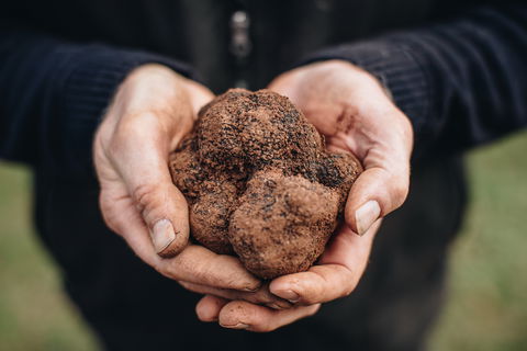 A Taste Of Truffles - Accommodation Search 0