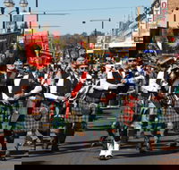 Australian Celtic Festival - Accommodation Search