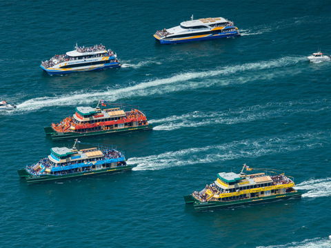 Australia Day Sydney Harbour Cruises - Accommodation Search 1