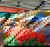 Ballina Missingham Farmers Market - Accommodation Search