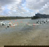 Batemans Bay Triathlon Festival - Accommodation Search