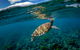 Behind The Lens - Lord Howe Island Photography Holiday - thumb 2