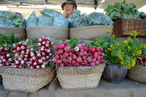 Berry Farmers' Market - Accommodation Search 0