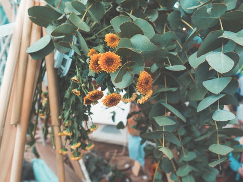 Boho Luxe Market - Accommodation Search 2