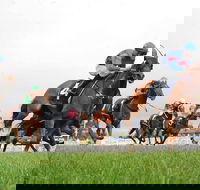 Christmas Cup Race Day - Accommodation Search