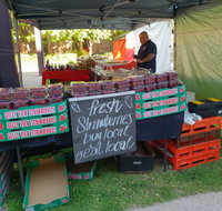 Clare Show Market - Accommodation Search