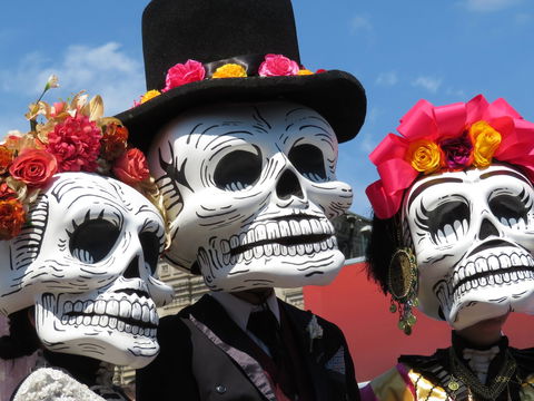 Día De Los Muertos Fiesta - Accommodation Search 0