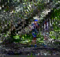Elephant Trail Race - Accommodation Search