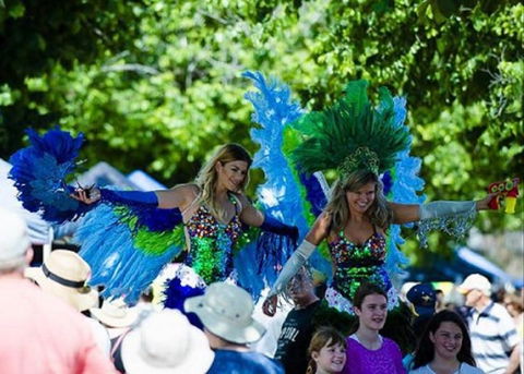Family Fun Carnivale - Accommodation Search 0