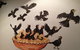 FOUR & TWENTY BLACKBIRDS - thumb 1