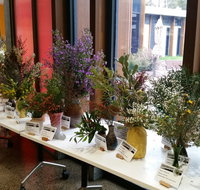 Grampians Wildflower Show - Accommodation Search