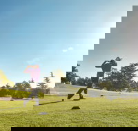 Hahn City of Orange Golf Championship - Accommodation Search