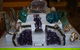 Illawarra Lapidary Club: Jewellery Gems And Minerals Festival - thumb 2