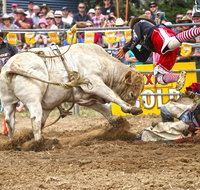 Jindabyne's Man From Snowy River Rodeo - Accommodation Search