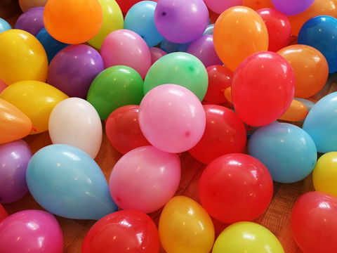 Kids Zone Mamre Homestead - Accommodation Search 0