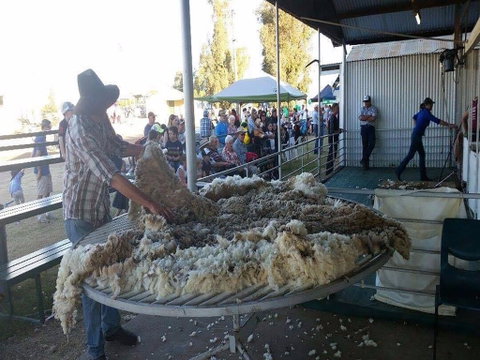 Narrabri Show - Accommodation Search 0