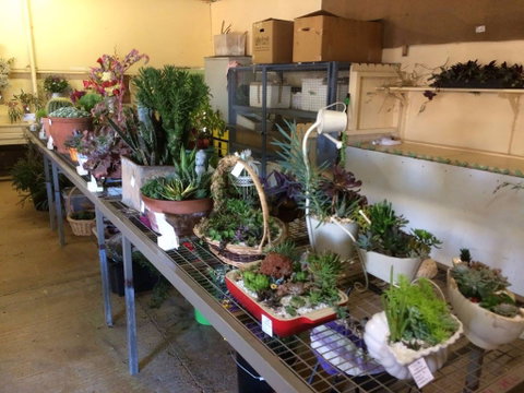 Narrabri Show - Accommodation Search 2