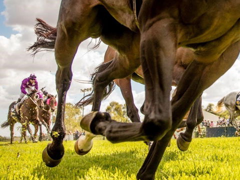 Night Markets And Race Day - Accommodation Search 0
