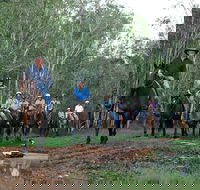 Night Horse Ride and Dinner - Accommodation Search