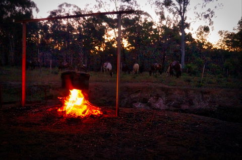 Night Horse Ride And Dinner - Accommodation Search 2