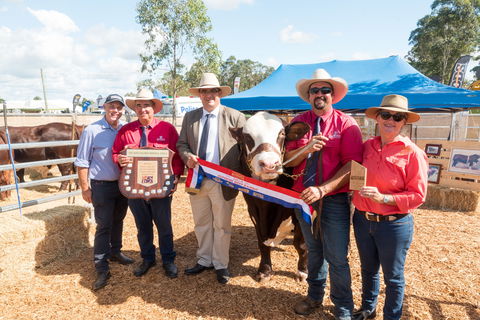Primex Field Days - Accommodation Search 0