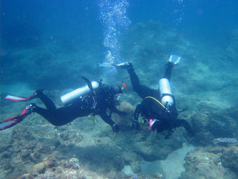 Recovery Of The Great Barrier Reef Expedition - Accommodation Search 1