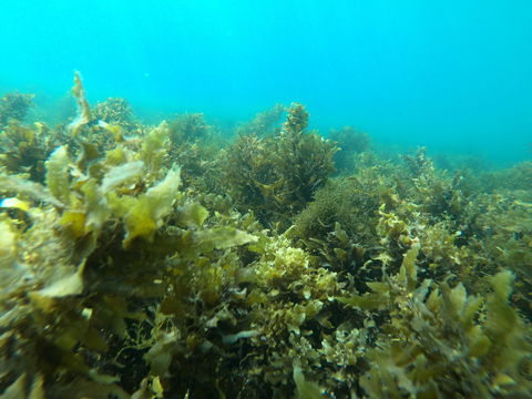 Recovery Of The Great Barrier Reef Expedition - Accommodation Search 2