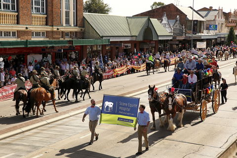 Scone Horse Festival - Accommodation Search 0