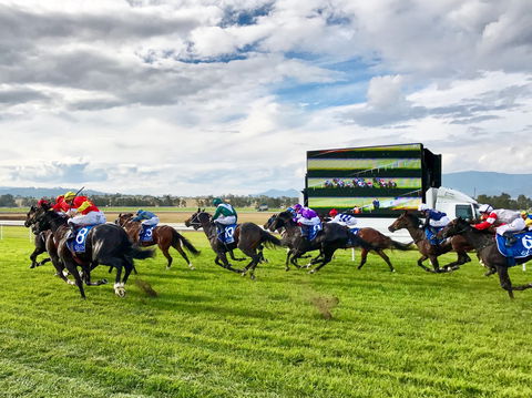 Scone Horse Festival - Accommodation Search 2