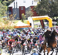 Snowies MTB Festival - Accommodation Search