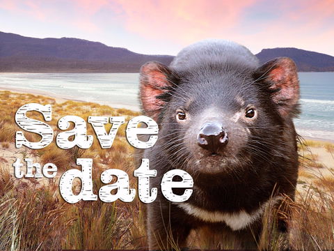 The Village Market Triabunna - Accommodation Search 0