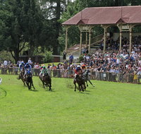 Tumut Derby Day - Accommodation Search