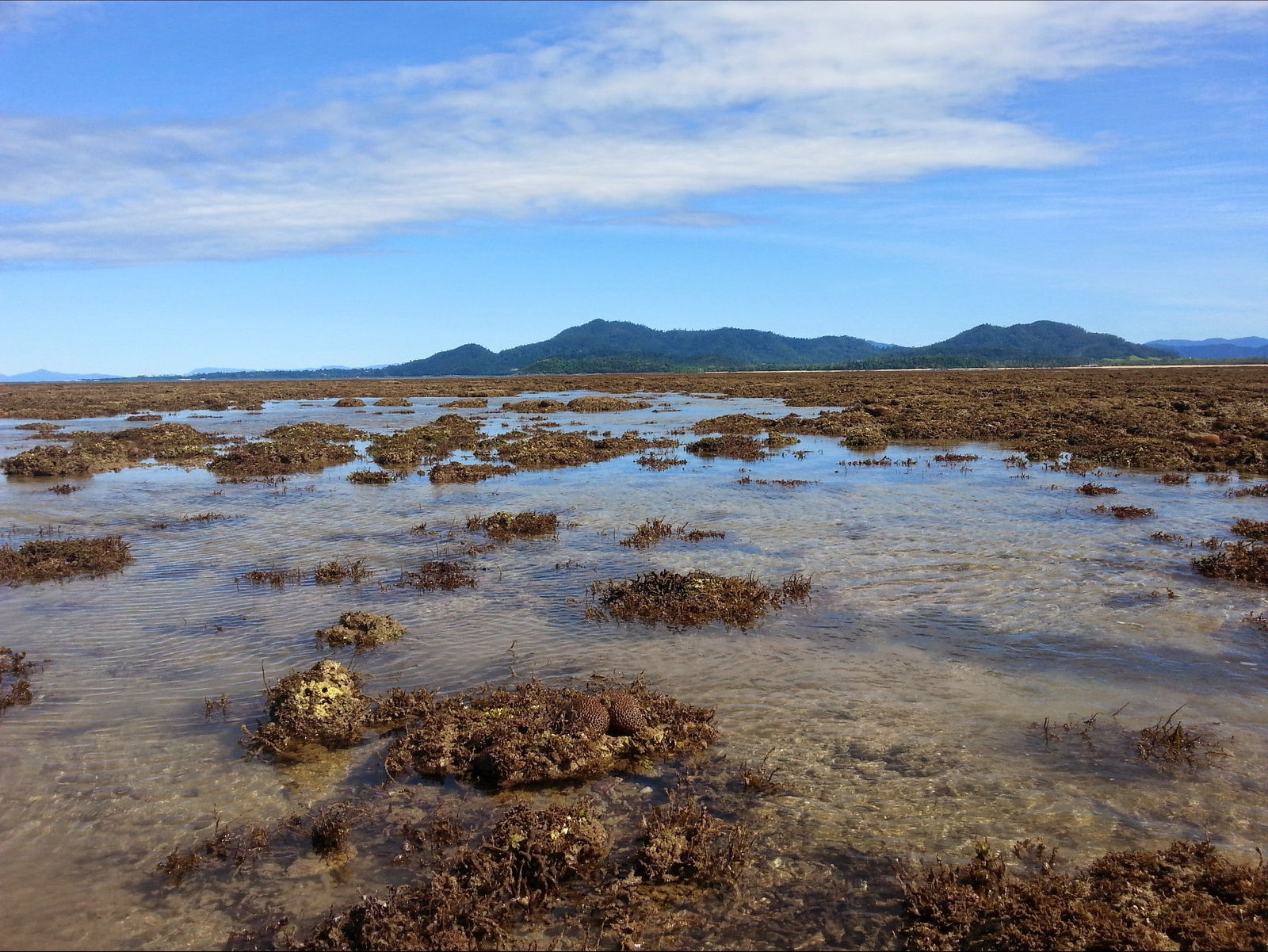 Kurrimine Beach QLD Accommodation Search