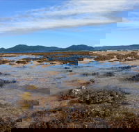 Walk to the Reef - Accommodation Search