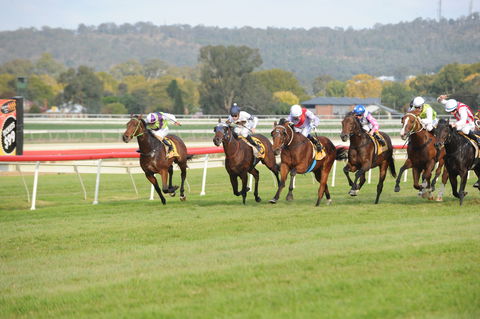 Aggies Race Day - Accommodation Search 0