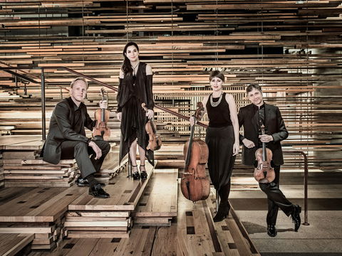 Australian String Quartet Plays Late Beethoven - Accommodation Search 2
