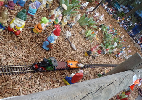 Australia Day With The Australian Gnome Convention Glenbrook - Accommodation Search 2