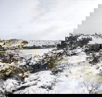Christmas in July at Cradle Mountain Hotel 2020 - Accommodation Search