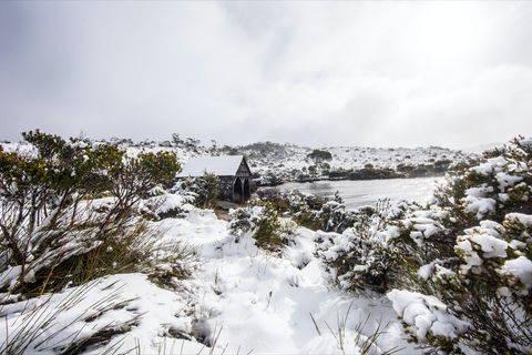 Christmas In July At Cradle Mountain Hotel 2020 - Accommodation Search 0