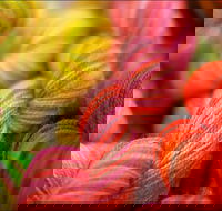 Creative Fibre - Accommodation Search