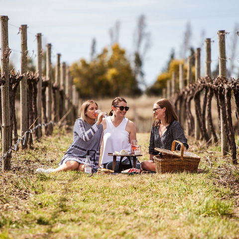 Family Picnic Weekend - Accommodation Search 0