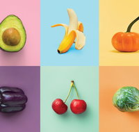 Food for Thought Alternative Food Sources - Accommodation Search