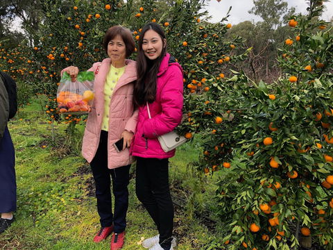 Fruit Taste Adventure Tours - Accommodation Search 0