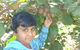 Fruit Taste Adventure Tours - thumb 1
