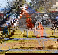 Glen Innes Pastoral and Agricultural Show - Accommodation Search