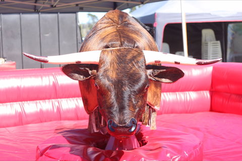 Gundaroo Music Festival - Accommodation Search 2
