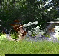 High Country Writers Festival - Accommodation Search