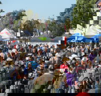 Hunter Valley Caravan Camping 4WD Fish and Boat Show - Accommodation Search