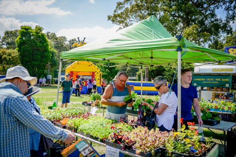 Huskisson Market - Accommodation Search 0